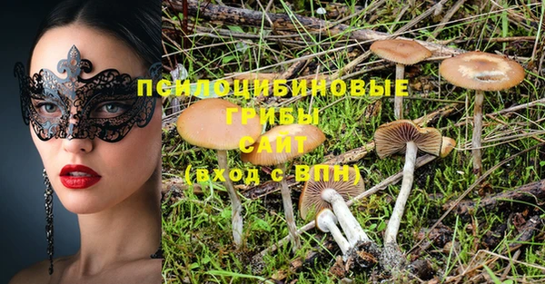 марки nbome Белокуриха