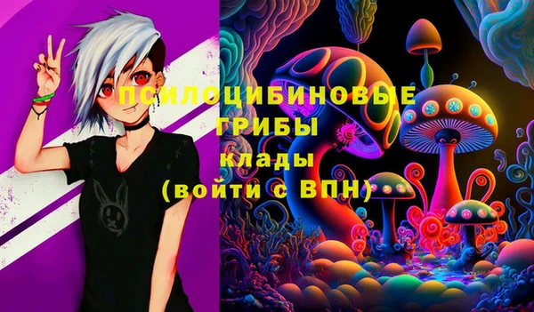 ECSTASY Белоозёрский