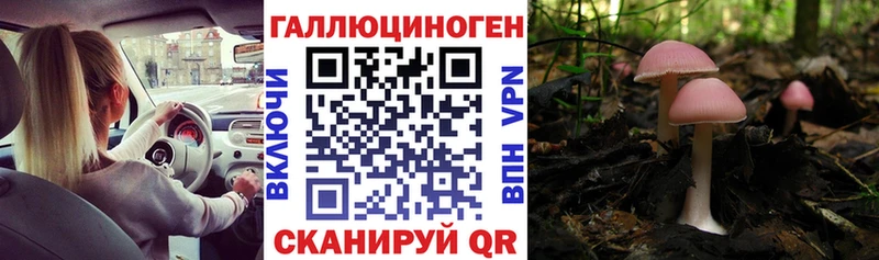 Галлюциногенные грибы прущие грибы Сольвычегодск