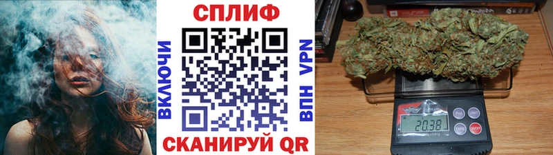Бошки Шишки MAZAR  Сольвычегодск 